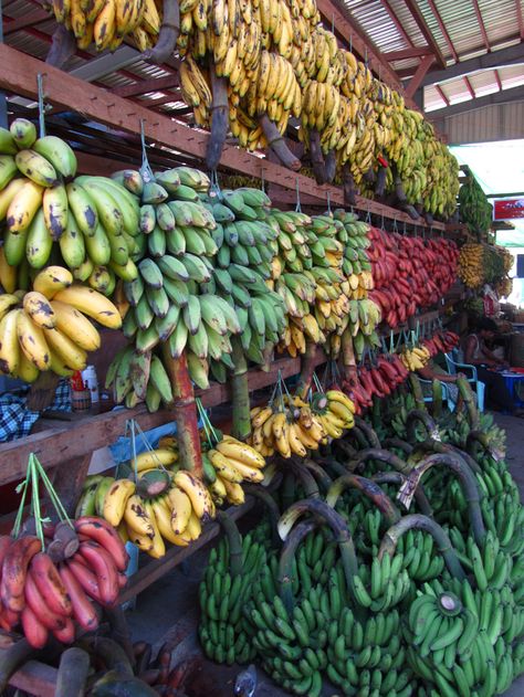 Thiri Mingalar market bananas Banana Shop, Godzilla Monsters, All Godzilla Monsters, Banana Fruit, Burma Myanmar, Yangon, Best Supplements, Fresh Market, Burmese