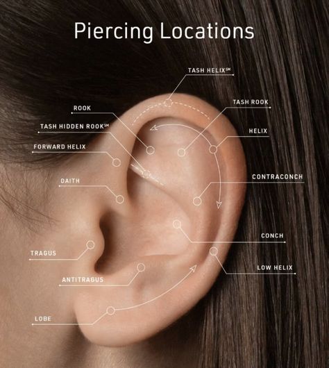 Ear Piercing Chart With Names, Piercings Ear Placement, Earing Arrangements On Ear, Ear Piercing Diagram Charts, Names Of Ear Piercings Chart, Every Ear Piercing Chart, Earring Placement Ideas Chart, Earrings Placement Ideas, Earring Arrangement Ideas