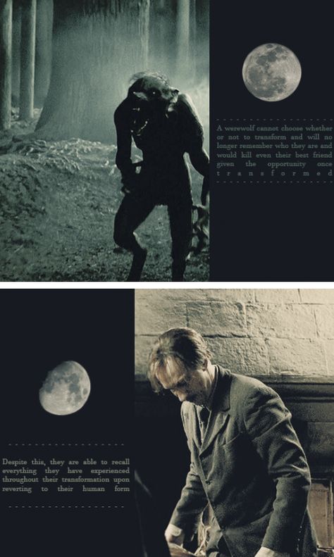 The sad truth about Lupin's lycanthropy and all he must endure while remaining such a kind and wise person. Professor Lupin Werewolf, Werewolf Harry Potter, Harry Potter Werewolf, Lupin Werewolf, Harry Potter Remus Lupin, Remus Lupin Werewolf, Emotional Burden, Professor Lupin, Lupin 3