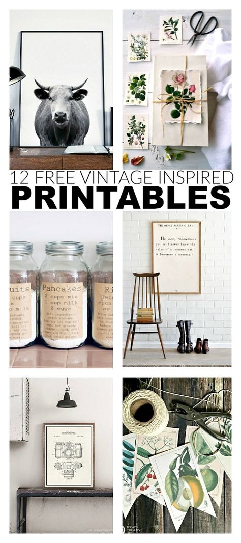 12 free and fabulous printables perfect for adding a touch of vintage to your home decor. #printables #freeart #printable Free Printable Cow Pictures, Decoupage Paper Printable Free Kitchen, Home Decor Printables, Farmhouse Printables, Free Printable Wall Art, Deco Nature, Free Printable Art, Christmas Fonts, Decor Guide