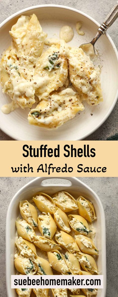 Stuffed Shells with Alfredo Sauce is a delicious Italian dish, featuring large pasta shells filled with a rich three-cheese blend. This is a crowd favorite and can be prepped ahead of time! Shrimp Alfredo Shells, Pasta For 20 People, Stuffed Shells With Cream Sauce, Ronzoni Stuffed Shells Recipe, Stuffed Shells No Red Sauce, Mac And Cheese Stuffed Shells, Dinner Ideas Fast And Easy, Shrimp Alfredo Stuffed Shells, Stuffed Big Shell Pasta