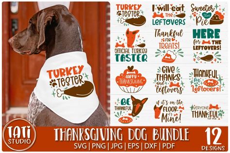 Dog Bandana Svg, Bandana Svg, Dog Thanksgiving, Fall Dog, Thanksgiving Svg, Thanksgiving Quotes, Dog Holiday, Hand Drawn Design, Free Design Resources