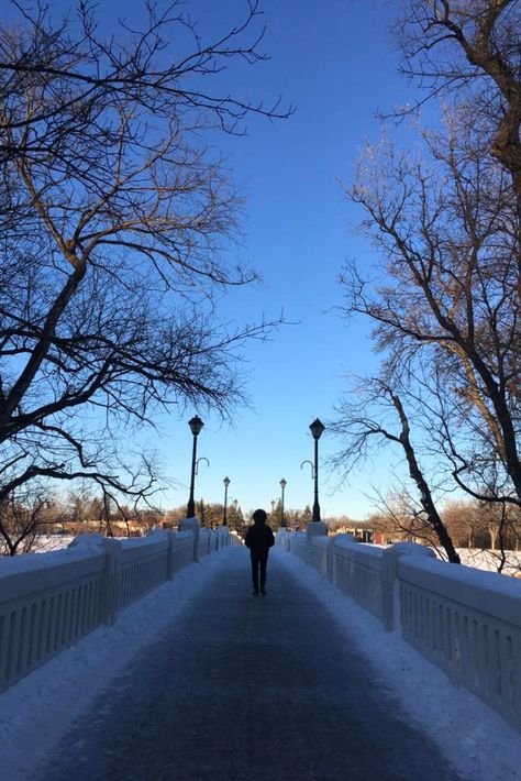 This bridge is the entrance to the Assiniboine Park’s winter wonderland ❄️ Visit the Pavilion to learn all about Winnipeg, the bear that inspired Winnie the Pooh. The Pavilion, International Students, The Bear, Winter Wonderland, Winnie The Pooh, To Learn, Entrance, Bridge, Lifestyle