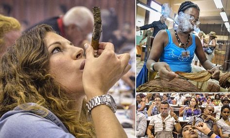 There was applause, shouts and laughter, and above all plenty of 7-inch H. Upmann Sir Winstons Cuban cigars in Havana's Palace of Conventions yesterday. Cuban Cigars Woman, Havana Cigars, Visit Cuba, Cuban Cigars, Cocktail Desserts, Marketing Director, Spending Money, Cigars, Tour Guide