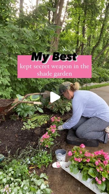 Michigan Garden, Michigan Gardening, Summer Gardens, Early Morning Sun, Proven Winners, Exterior Ideas, Mary Ann, Double Up, Garden Tips