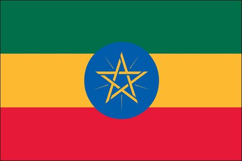 Our premium 3ft x 5ft Polyester Ethiopia indoor flags are made of all-weather polyester with header tape and 2 metal grommets. The flag is dye-sublimated with beautiful bold colors. Printed on one side all the way through the fabric. Double-stitched around all edges with 4 rows of stitching on fly edge. These indoor international flags can be used outside for a limited time. Flags are great for decorating with or waving in a parade to show your national pride! Flags capture attention and draw pe Ethiopian Flag, Ethiopia Flag, Jamaican Flag, National Flags, International Flags, National Symbols, Custom Flags, Unit Study, Outdoor Flags