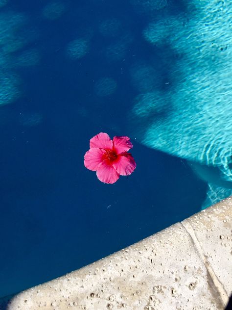 Rikki Chadwick, Summer Beach Wallpaper, Handsome Italian Men, Pool Poses, Pool Picture, Light Blue Aesthetic, Iphone Home Screen Layout, Baby Pink Aesthetic, Summer Fun List