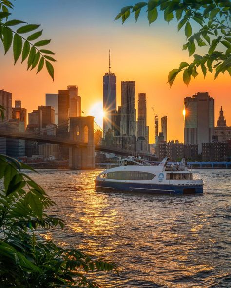 East River or a tropical oasis? 🤔🌴⁠ ⁠it’s the NYC Ferry❣️ Nyc Ferry, New York Tattoo, Gta 4, New York City Photos, City Photos, Tropical Oasis, East River, 2025 Vision, World Cities