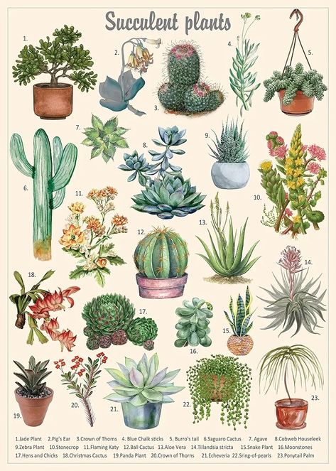 Plant Chart, Best Indoor Plants, Journal Themes, Unique Plants, Art Prompts, Dream Room Inspiration, Plant Gifts, Plant Wall, Iron Wall