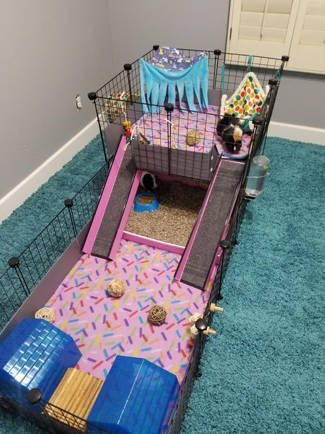 Ginny Pigs Cages, Ginny Pig Cages Ideas, Rabbit Shed, Diy Guinea Pig Cage, Guinea Pig Diy, Guinea Pig Hutch, C&c Cage, Pet Shed, Guinea Pig House