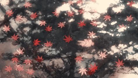 Fall Gif, Falling Gif, Fall Anime, Gif Background, Fall Banner, Banner Gif, Anime Gifs, A Silent Voice, Aesthetic Gif