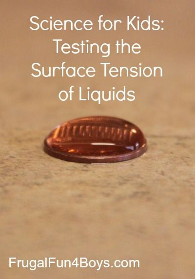 Science Experiment for Kids:  Testing the Surface Tension of Liquids Making Bubbles, Science Experiment For Kids, Experiment For Kids, Science Rules, Giant Bubbles, Surface Tension, Kid Experiments, Easy Science Experiments, Easy Science