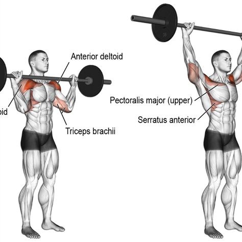 Shoulder Press Workout, Barbell Shoulder Press, Barbell Press, Cardio For Fat Loss, Best Shoulder Workout, Big Arms, Shoulder Day, Barbell Workout, Bigger Arms