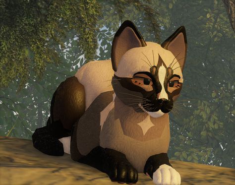 Warrior Cats Unlimited Edition Morph Ideas, Wcue Morph Ideas Calico, Warrior Cat Morphs, Wcue Morph Ideas Shorthair, Kanye West Wallpaper, Oc Template, Warrior Cat Names, Cat Skin, Flipagram Instagram