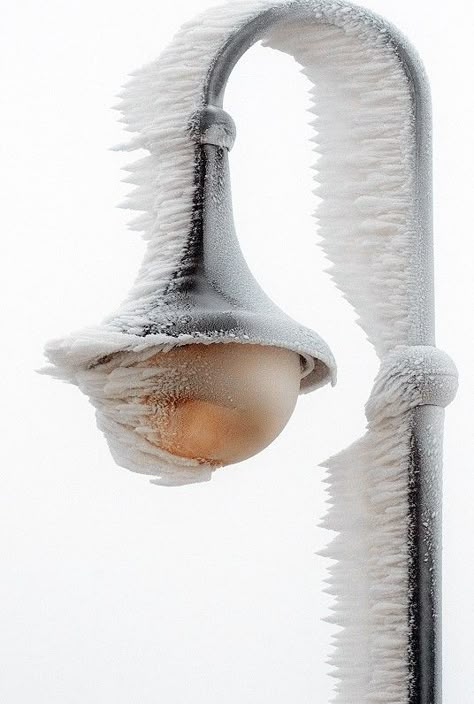 Frosty Winter Schnee, Snow Crystal, Winter's Tale, I Love Winter, Ice Snow, Winter Love, Snow Ice, Winter Magic, Winter Scenery