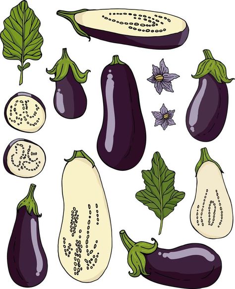 Eggplant Drawing, Eggplant Illustration, Egg Plant, Spilled Milk, Kitchen Layout Plans, Plant Aesthetic, Photos Vintage, Sports Photos, Fall Collection