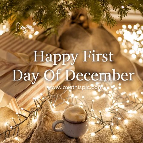 1st December Wishes, 1st December Quotes Christmas, First December Quotes, New Month Wishes December, First Day Of December Quotes, 1st December Quotes, 1st Day Of December Quotes, Happy December 1st Quotes, 1st Of December Quotes