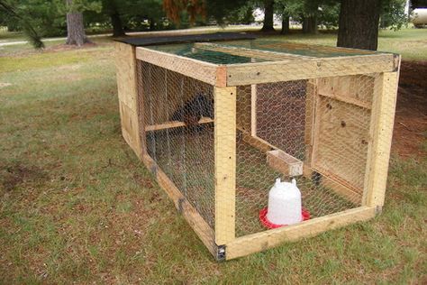 I spent the last 2 days building a grown out pen for the little ones to big for indoors, too... Pullets Chickens, Chick Brooder, Chicken Feeder Diy, Chicken Brooder, How To Raise Chickens, Chicken Club, Homestead Life, Chicken Coop Run, Raise Chickens