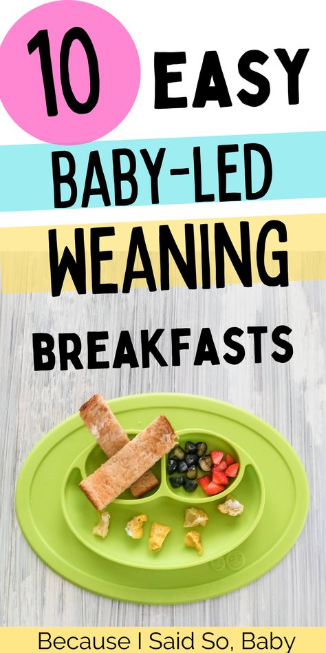 baby-led weaning breakfast ideas Breakfast Ideas Kids Toddlers, Baby Led Weaning Breakfast Ideas, Breakfast Ideas Kids, Blw Breakfast Ideas, Led Weaning Breakfast, Children Breakfast, Baby Purees, Baby Led Weaning Breakfast, Blw Recipes