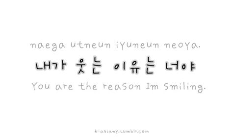 Love Quotes In Korean, Korean Love Quotes, Quotes In Korean, Korea Quotes, Learning Korean Grammar, Korean Love, Learn Korean Alphabet, Easy Korean Words, Learn Hangul