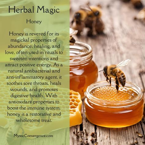 🍯✨ Dive into the sweet magic of honey! This golden delight is more than just a treat; it’s a powerhouse of healing and magic. 🌟🐝 Drizzle it in your morning tea or blend it into your skincare routine – honey’s benefits are vast and sweet! 🌿 From soothing sore throats and enhancing natural healing due to its antibacterial properties, to its mystical use in spells to attract joy and abundance, honey is a must-have in every home. 🩹🌞 🌼 Let’s appreciate the hard-working bees and support local bee... Magical Properties Of Honey, Honey Magical Properties, Honey Magic, Working Bee, Sooth Sore Throat, Sweet Magic, Herbal Magic, Morning Tea, Honey Pot