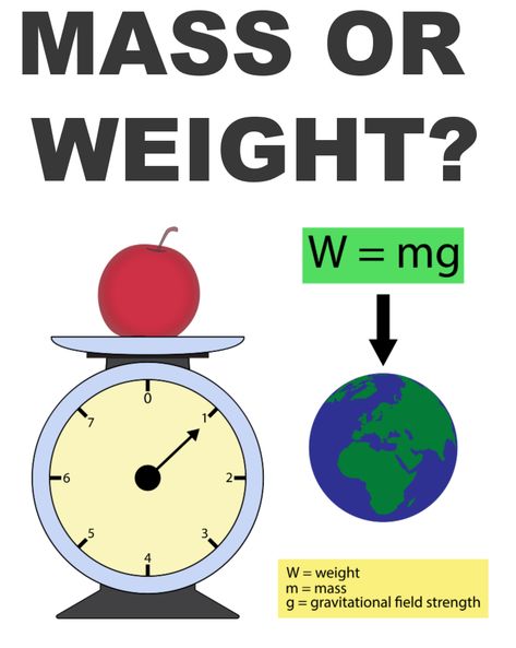 Mass or Weight? What's the Difference? Science Questions for Kids Science Questions For Kids, Questions For Kids, Learn Physics, Science Questions, Physics Notes, Teaching Plan, Matter Science, Science Notes, Weird Science