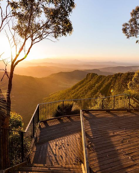 O'Reilly's Rainforest Retreat on Instagram: “Our breathtaking Sunset Experience is back! 🙌🥂🌄 Stay at O'Reilly's Rainforest Retreat these school holidays to receive a complimentary…” Diving Into Ocean, Rainforest Retreat, Vision 2023, Beautiful Australia, Dream Catcher Patterns, Dream Catcher Decor, Homemade Items, Dream Catcher Craft, Lost World