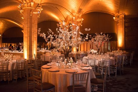 Cambria Wedding, Wedding Design Board, Cherry Blossom Decor, Intimate Reception, Uplighting Wedding, Lights Wedding Decor, Cherry Blossom Wedding, New York City Wedding, November Wedding