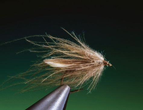 Caddis Flies, Fly Box, Fly Tying Patterns, Fly Tying, Body Hair, Fly Fishing, Around The World, Fishing, Quick Saves