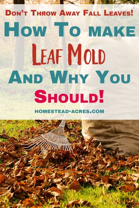 Leaf mold is one of the best composts you can make for your backyard garden! It’s a great way to deal with all the autumn leaves that fall on your lawn too. Come and see how to make leaf mold, why you NEED leaf mold in your garden and tips for using it. Leaf Compost, Leaf Mold, Best Garden Tools, Home Vegetable Garden, Hardy Plants, Deck Garden, Garden Pests, Organic Vegetables, Garden Soil