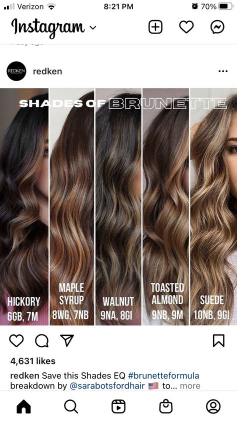 Level 6 Brown Hair, Level 6 Hair, Level 6 Hair Color, Haircuts Ideas For Women, Redken Hair Color, Brown Hair Shades, Haircuts Ideas, Redken Hair Products, Hair Toner