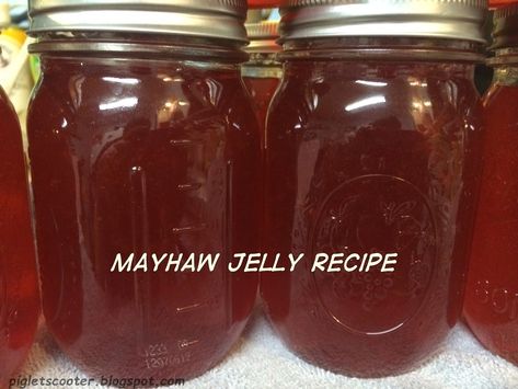 Mayhaw Jelly Recipe, Mayhaw Jelly, Muscadine Jelly, Making Jelly, Pepper Jelly Recipes, How To Make Jelly, Canning Jam, Homemade Jelly, Jelly Recipe