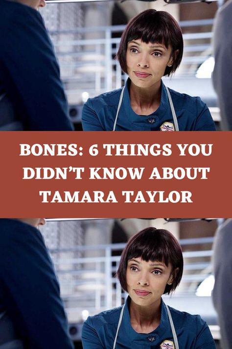 Tamara Taylor, Party Of Five, Fox Party, Different World, A Different World, Wedding Season, Dream Life, Bones, Career