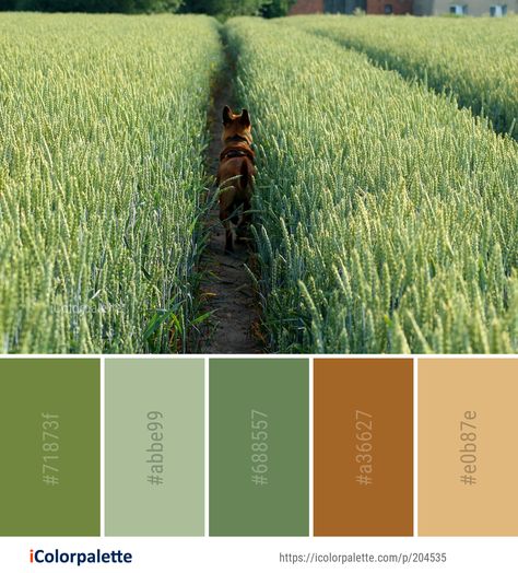 Color Palette ideas from 3434 Grass Images | iColorpalette Earth Colour Palette Nature, Seed Color Palette, Farming Color Palette, Color Palette From Nature, Farm Colour Palette, Agriculture Color Palette, Grass Palette, Farm Color Palette, Grass Color Palette