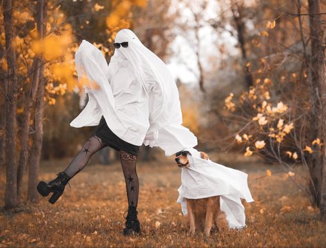 Dog And Human Ghost Photoshoot, Ghost Sheet Photoshoot With Dog, October Dog Photoshoot, Halloween Pictures With Dogs, Pet Fall Photoshoot, Dog Ghost Costume Photoshoot, Ghost Trend With Dog, Dog Sheet Ghost Photoshoot, Dog Sheet Ghost