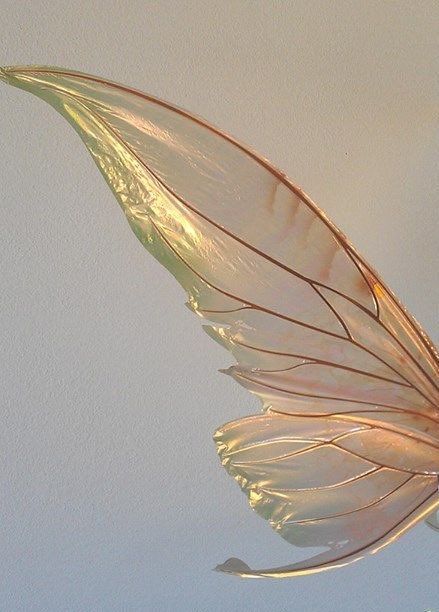 Seelie Fae, Iridescent Fairy Wings, Iridescent Fairy, Wings Costume, Fairy Parties, Fantasias Halloween, Fairy Costume, Fairy Wings, Fairy Land