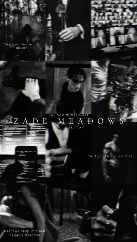 Zade Meadows Man, Zade Meadows Wallpaper, Zade Meadows Aesthetic Wallpaper, Book Characters Aesthetic, Zane Meadows, Haunted Adeline, Hunting Adaline, Zade Meadows Fan Art, Haunting Adaline