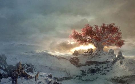 While HBO endlessly teases us about Jon Snow’s fate, here’s one of Ned Stark’s sons we can definitely say is coming back to Game of Thrones: Bran ... Game Of Thrones Tree, Isaac Hempstead Wright, Bran Stark, Shannara Chronicles, Game Of Thrones Art, Tree Wallpaper, Winter Is Here, High Fantasy, Norse Mythology