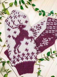 Colorwork Crochet, Mittens Crochet Pattern, Fair Isle Crochet, Mittens Crochet, Crochet Mittens Pattern, Colorwork Chart, Crochet Cable, Crochet Mittens, Poncho Pattern