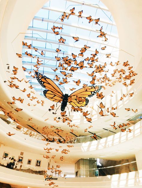 Monarch Butterfly Party Decorations, Monarch Butterfly Party, Butterfly Photo Booth, Monarch Butterfly Aesthetic, Spa Ceylon, Mall Aesthetic, Butterfly Museum, Illustration Exhibition, Butterfly Exhibit