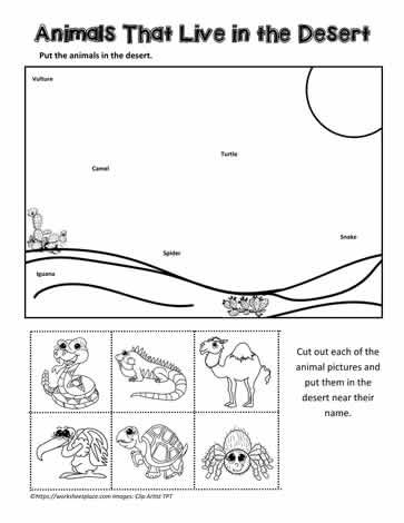 Desert Animals Worksheet, Desert Animals Activities, Habitat Worksheet, Animals Habitat, Habitat Activities, Animals Worksheet, Grade 3 Science, Desert Biome, Worksheet For Kindergarten