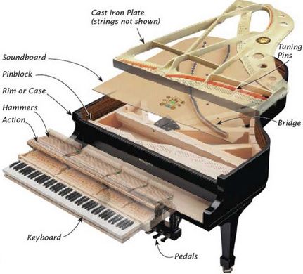 Beginner's Guide to the Grand Piano - Grand Piano Piano Crafts, Piano Cakes, Piano Store, Piano For Sale, Piano Teaching Resources, Piano Parts, Piano Music Lessons, Easy Piano Songs, Grand Pianos