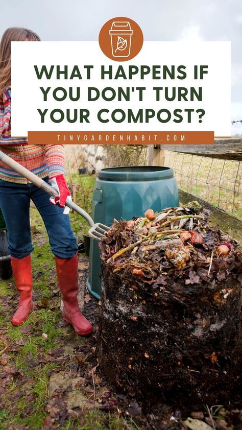 So what happens if you don’t turn compost? Not turning your compost may keep the heap cold and the processes inside anaerobic, but if the balance of brown vs green ingredients is right, you’ll still get compost. Cold composting takes longer, but it’s nature’s way of breaking down organic matter. Check this article to learn how to do compost the lazy way. Homemade Compost Bin, Outdoor Compost Bin, Best Compost Bin, Making A Compost Bin, Composting Methods, Compost Container, Compost Bin Diy, Compost Tumbler, Diy Compost