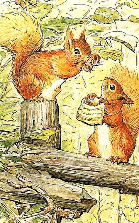 Beatrix Potter (1866-1943) — The Tale of Squirrel Nutkin,1903 (498x800) Squirrel Nutkin, Beatrix Potter Illustrations, Beatrice Potter, Peter Rabbit And Friends, Marjolein Bastin, Potter Art, 22 December, A Squirrel, Pinturas Disney