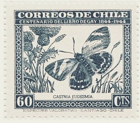 طوابع بريد, Postage Stamp Design, Postcard Stamps, Art Butterfly, Postage Stamp Art, Vintage Postage Stamps, Blue Poster, Vintage Postage, Arte Inspo