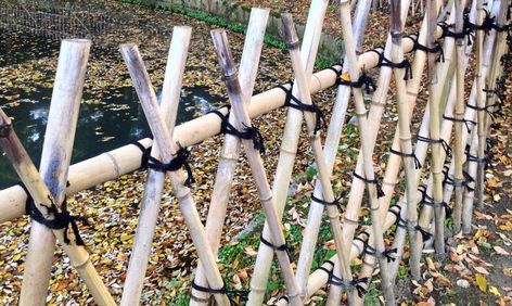 Japanese Trellis, Bamboo Fences, Bamboo Garden Fences, Japanese Fence, Fence Painting, Diy Bamboo, Bamboo Stakes, Bamboo Diy, Diy Garden Fence