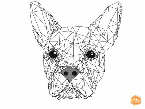 illustration of Boston Terrier magic: coloring for adults Cute Boston Terrier, Coloring For Adults, Mandala Turtle, Coloring Page For Adults, Domestic Animals, Printable Coloring Sheets, Fantasy Fairy, Relaxing Day, Animal Coloring Pages