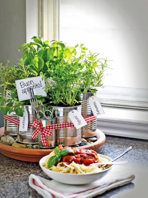 Grow your own kitchen countertop herb garden. http://www.hgtv.com/kitchens/grow-your-own-kitchen-countertop-herb-garden/index.html?soc=pinterest Planters Diy, Herb Garden In Kitchen, Diy Herb Garden, نباتات منزلية, Herb Garden Design, Kitchen Herbs, Diy Outdoor Decor, Indoor Herb Garden, Diy Pots