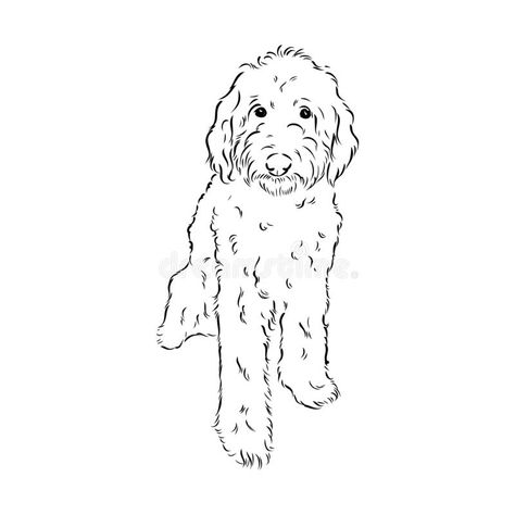 Goldendoodle Line Drawing, Labradoodle Drawing Easy, Golden Doodle Tattoo Ideas, Cockapoo Drawing Simple, Sheepadoodle Tattoo, Dog Stencil Tattoo, Labradoodle Embroidery, Goldendoodle Tattoo Outline, Golden Doodle Outline