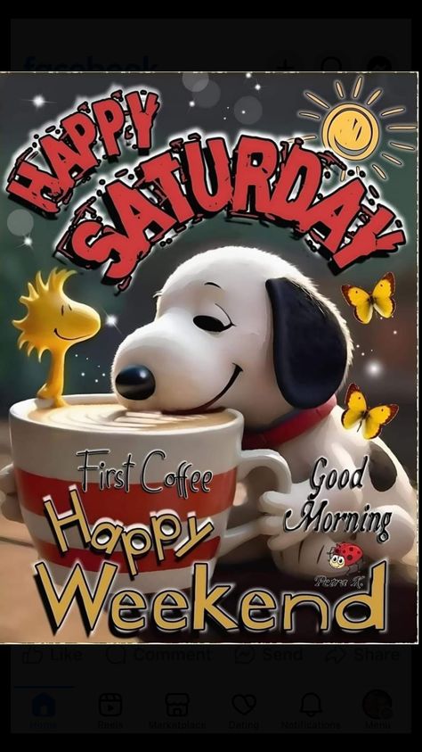 Snoopy Saturday Good Morning, Saturday Snoopy, Saturday Morning Greetings, Saturday Morning Humor, Happy Saturday Quotes, Happy Saturday Morning, Happy Saturday Images, Saturday Humor, Saturday Greetings